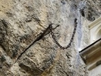 The Durandal, which is France's version of the Excalibur sword, has gone missing after being stuck in stone for 1,300 years.(X/@F_Desouche)