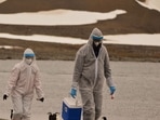 Germany reports rare outbreak of H7N5 bird flu near Dutch border