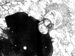 Fans devastated by the death of Satoru Gojo in the latest chapter of Jujutsu Kaisen, sparking backlash towards the author, Gege Akutami.