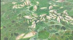 How polluted is the Yamuna? No data to tell How polluted is the Yamuna? No data to tell