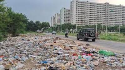 A private contractor has been hired temporarily to collect garbage from these sites daily and process it. (HT Photo) A private contractor has been hired temporarily to collect garbage from these sites daily and process it. (HT Photo)