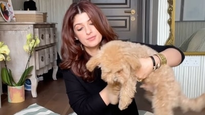 In March, Twinkle Khanna shared a video with her furry pet, and wrote, "Have you ever wondered what your dog would say if he could talk ? Well, Mr Jeeves is apparently spilling the kibble. What fun things do you do with your pet?" In March, Twinkle Khanna shared a video with her furry pet, and wrote, "Have you ever wondered what your dog would say if he could talk ? Well, Mr Jeeves is apparently spilling the kibble. What fun things do you do with your pet?"