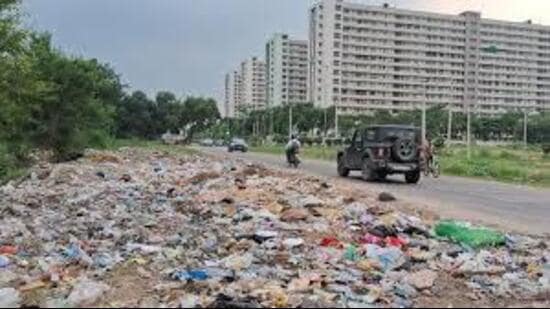 A private contractor has been hired temporarily to collect garbage from these sites daily and process it. (HT Photo)