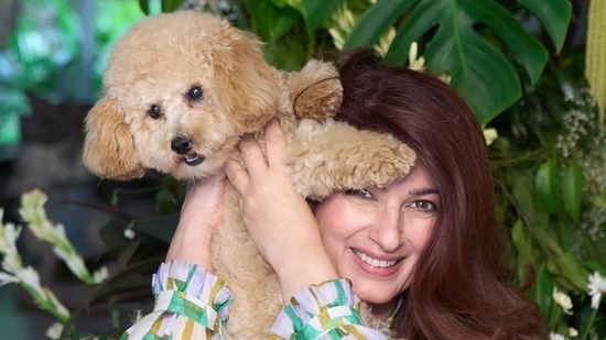 In her caption, Twinkle Khanna wrote, "The escapades of posing with Mr Jeeves! In our charming habit of Indianizing everything, our dear British Mr. Jeeves is now fondly addressed by a variety of pet names, the most notable being ‘Jeevan.’ What is the strangest nickname you have given to someone?"