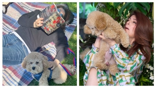 Twinkle Khanna often shares glimpses of Mr Jeeves on Instagram. Whether it is from their sunny outing in the park or a cosy little photoshoot.