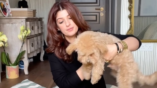 In March, Twinkle Khanna shared a video with her furry pet, and wrote, "Have you ever wondered what your dog would say if he could talk ? Well, Mr Jeeves is apparently spilling the kibble. What fun things do you do with your pet?"