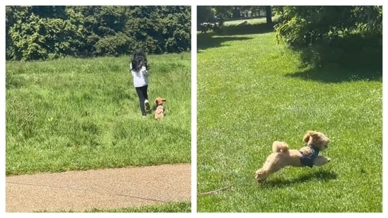 Twinkle Khanna and Akshay Kumar's daughter Nitara was seen running around with their pet dog in the clip. Twinkle also wrote in her caption, "A simple but special Sunday with my little one and Mr Jeeves. Tell me about the little things that add joy to your life..."