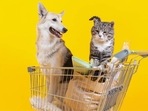 The entertaining playoff between dog and cat startups reminded me of the 2001 movie ‘Cats & Dogs’ where both sides – the dogs and cats - use spying tactics to play up an intense rivalry. Who will win this war, I wondered? (ADOBE STOCK) The entertaining playoff between dog and cat startups reminded me of the 2001 movie ‘Cats & Dogs’ where both sides – the dogs and cats - use spying tactics to play up an intense rivalry. Who will win this war, I wondered? (ADOBE STOCK)