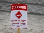 Beachgoers on South Padre Island face unexpected danger as shark attacks occur in Texas waters. REUTERS/Mike Blake(REUTERS)
