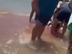 A woman was dragged out of water after being attacked by a shark.