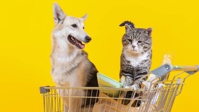 The entertaining playoff between dog and cat startups reminded me of the 2001 movie ‘Cats & Dogs’ where both sides – the dogs and cats - use spying tactics to play up an intense rivalry. Who will win this war, I wondered?  (ADOBE STOCK)