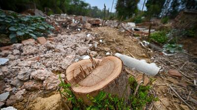 Trees seen allegedly cut over a stretch near Gaushala Road, Maidan Garhi on July 2. (Sanchit Khanna/HT)