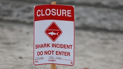 Beachgoers on South Padre Island face unexpected danger as shark attacks occur in Texas waters. REUTERS/Mike Blake (REUTERS)