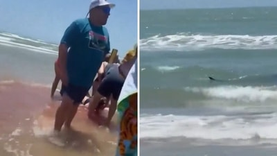 A woman was dragged out of water after being attacked by a shark. (X/@money_bubby) A woman was dragged out of water after being attacked by a shark. (X/@money_bubby)