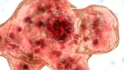 Brain-eating amoeba, naegleria fowleri is an amoeba (a single-celled living organism) that can cause infections in the brain. (source: CDC)