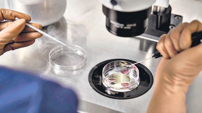 Oocyte cryopreservation is a procedure which involves freezing of a woman’s unfertilized eggs or oocytes. (Shutterstock) Oocyte cryopreservation is a procedure which involves freezing of a woman’s unfertilized eggs or oocytes. (Shutterstock)