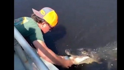 Florida man uses alligator to open beer can in viral video (X/Wall Street Silver)
