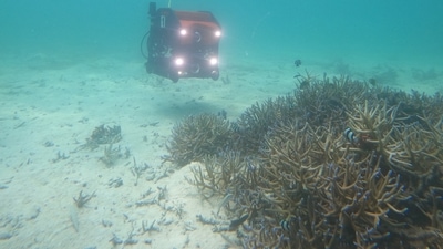 The ROV in use during initial tests to record coral reef imagery in shallow waters (Photo credit: Raheem D.A., REEF) The ROV in use during initial tests to record coral reef imagery in shallow waters (Photo credit: Raheem D.A., REEF)