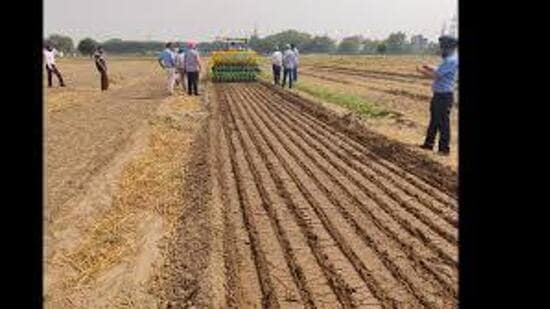 Basmati rice can be grown as DSR under un-puddle conditions as it helps in saving soil and water resources along with less dependence on labour. (HT Photo)