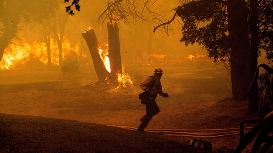 A firefighter runs while battling the Thompson Fire burning in Oroville, Calif., Tuesday, July 2, 2024. An extended heat wave blanketing Northern California has resulted in red flag fire warnings and power shutoffs. (AP Photo/Noah Berger)(AP)