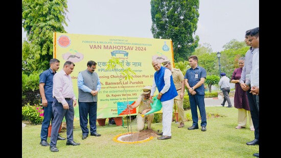 Punjab governor and UT administrator Banwarilal Purohit planting a sapling at Raj Bhawan, Chandigarh, on Friday. (HT Photos)