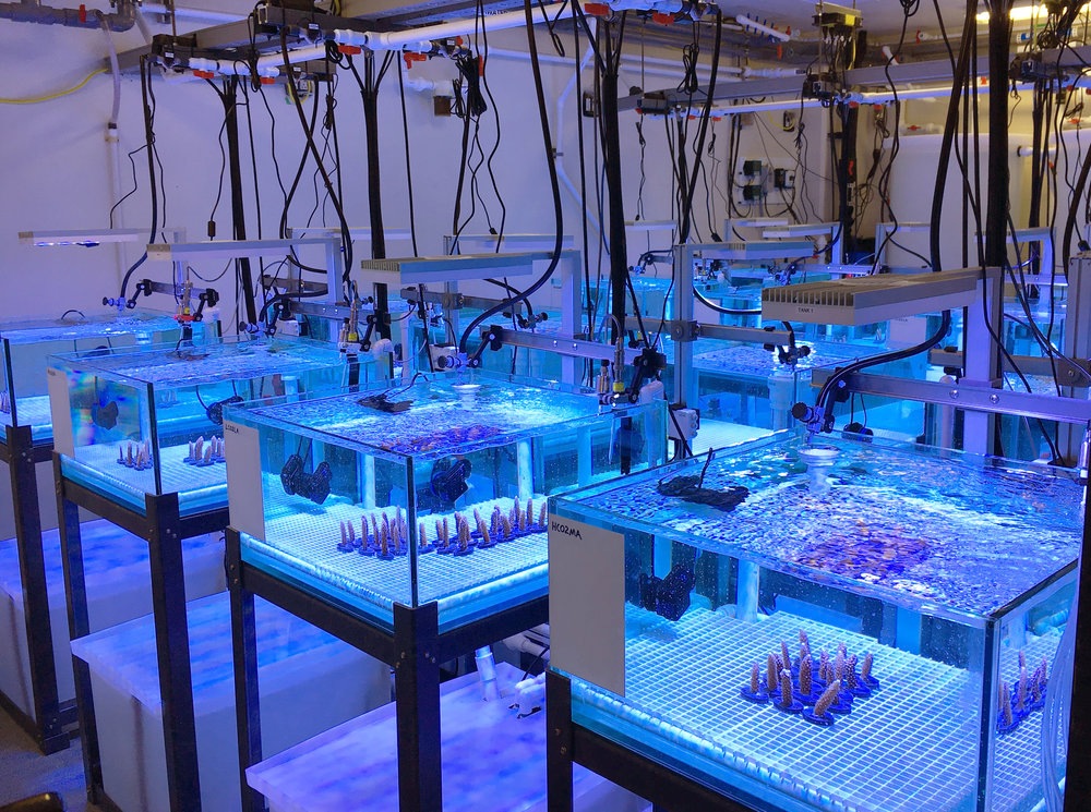 (Courtesy NOAA’s Atlantic Oceanographic and Meteorological Laboratory.)