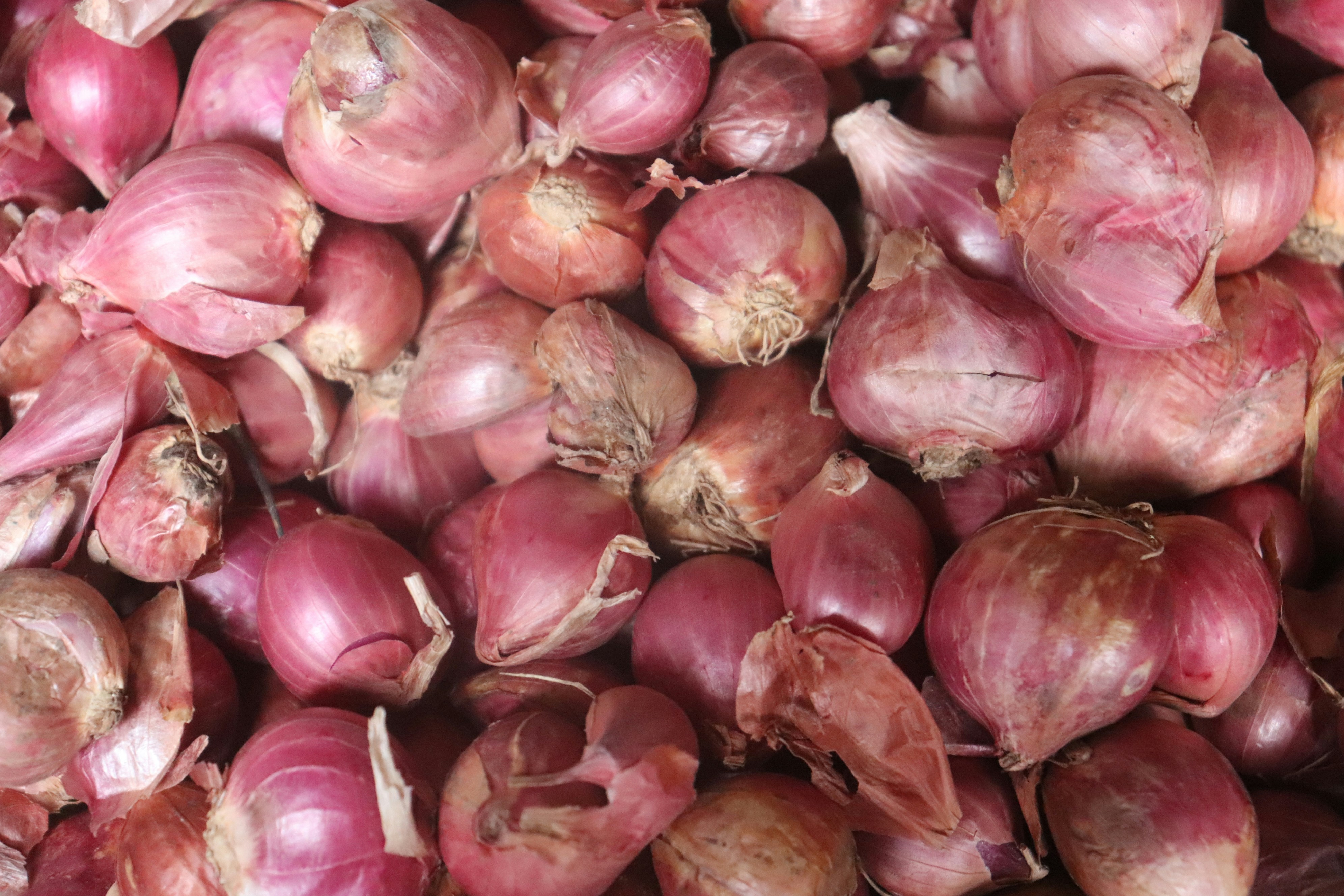 The sulfur in onion oil prevents hair loss and promotes hair growth.