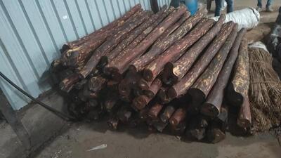 According to the DRI, the seized red sanders have an illicit market value of approximately ₹7.9 crore under the relevant provisions of the Customs Act. (HT PHOTO) According to the DRI, the seized red sanders have an illicit market value of approximately ₹7.9 crore under the relevant provisions of the Customs Act. (HT PHOTO)