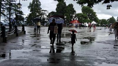 Residents walking in the rain in Shimla on Saturday. The Indian meteorological department (IMD) has issued a yellow alert in most parts of the state. The weather is expected to clear up on Monday. (Deepak Sansta/HT) Residents walking in the rain in Shimla on Saturday. The Indian meteorological department (IMD) has issued a yellow alert in most parts of the state. The weather is expected to clear up on Monday. (Deepak Sansta/HT)