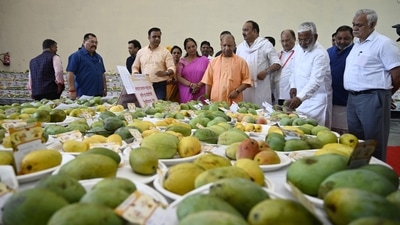 Uttar Pradesh CM Yogi Adityanath at Uttar Pradesh Mango Festival 2023 in Lucknow on July 14. (HT photo)