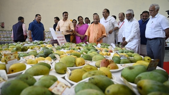 Uttar Pradesh CM Yogi Adityanath at Uttar Pradesh Mango Festival 2023 in Lucknow on July 14. (HT photo)