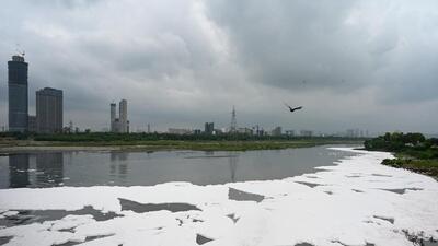 A view of the Yamuna in Delhi-NCR. (Sunil Ghosh/HT) A view of the Yamuna in Delhi-NCR. (Sunil Ghosh/HT)