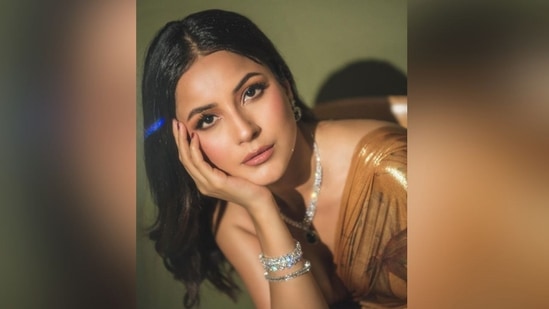 With the help of makeup artist Sonik Sarwate, Shehnaaz was flawlessly decked out in nude eyeshadow, smudged eyeliner, mascara-coated lashes, defined brows, blushed cheeks, a luminous highlighter, and a shade of glossy nude lipstick.(Instagram/@Shehnaaz Gill)