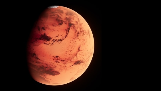 Anca Selariu, Ross Brockwell, Nathan Jones and team leader Kelly Haston have spent the past 378 days sealed inside the "Martian" habitat in Houston, Texas, part of NASA's research into what it will take to put humans on the Red Planet.(File photo) Anca Selariu, Ross Brockwell, Nathan Jones and team leader Kelly Haston have spent the past 378 days sealed inside the "Martian" habitat in Houston, Texas, part of NASA's research into what it will take to put humans on the Red Planet.(File photo)