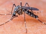 When not treated properly in time, dengue fever can turn fatal. 