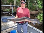 Unusual fish with crooked spine caught in Florida waters (FWC Fish and Wildlife Research Institute/Facebook) Unusual fish with crooked spine caught in Florida waters (FWC Fish and Wildlife Research Institute/Facebook)