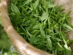 India's tea production in May plunged more than 30% from a year earlier to 90.92 million kg, its lowest for that month in more than a decade, hurt by excessive heat and scant rainfall. India's tea production in May plunged more than 30% from a year earlier to 90.92 million kg, its lowest for that month in more than a decade, hurt by excessive heat and scant rainfall.