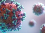 New Covid variant KP.3 is sweeping across the US; here's what to know(Representational Image) New Covid variant KP.3 is sweeping across the US; here's what to know(Representational Image)