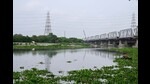 Millions of farmers depend on the summer monsoon to plant a range of crops. (Vipin Kumar/HT Photo) Millions of farmers depend on the summer monsoon to plant a range of crops. (Vipin Kumar/HT Photo)