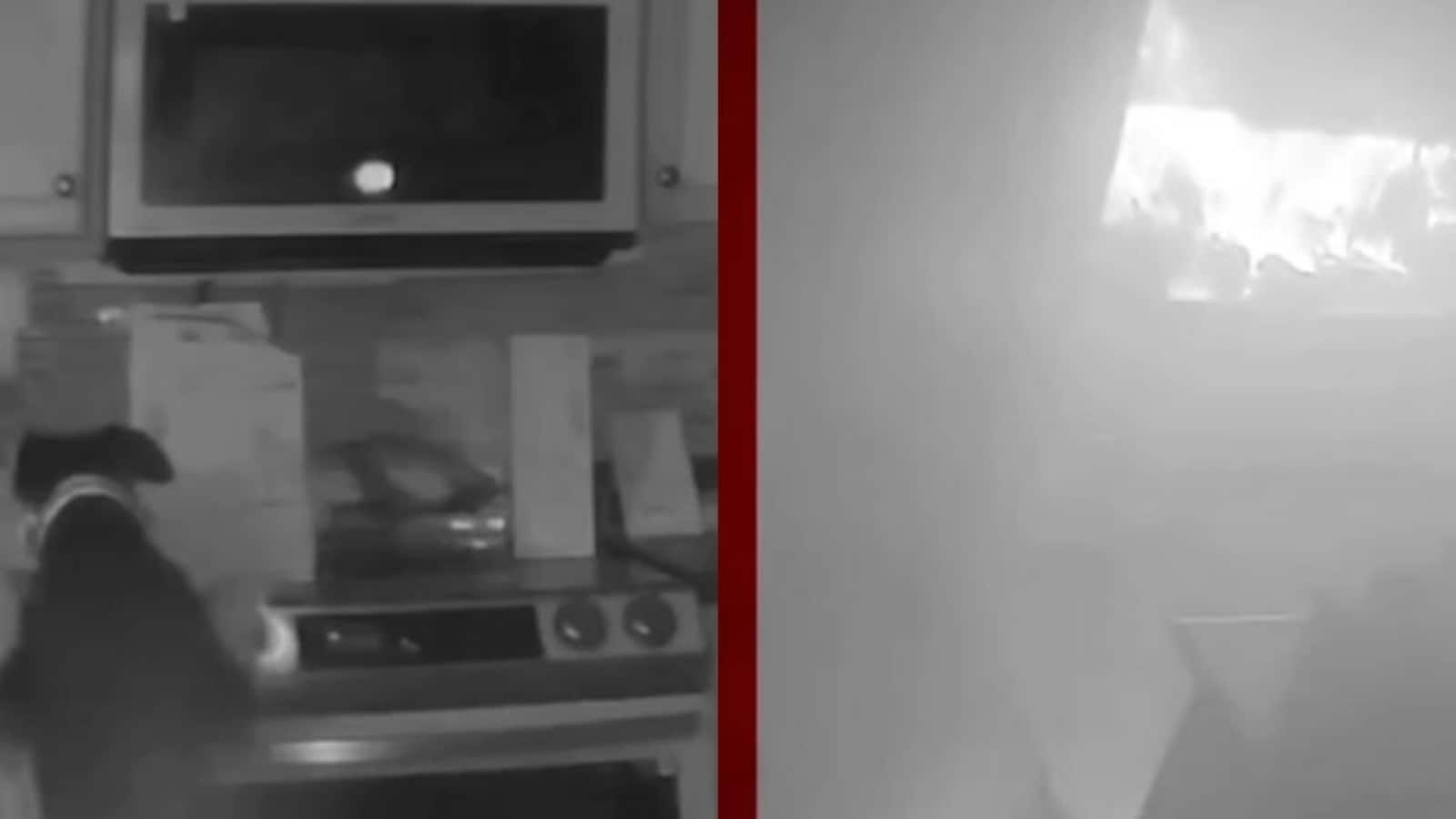 Curious dog sets house on fire by turning the oven on. Apple HomePod saves family | Trending