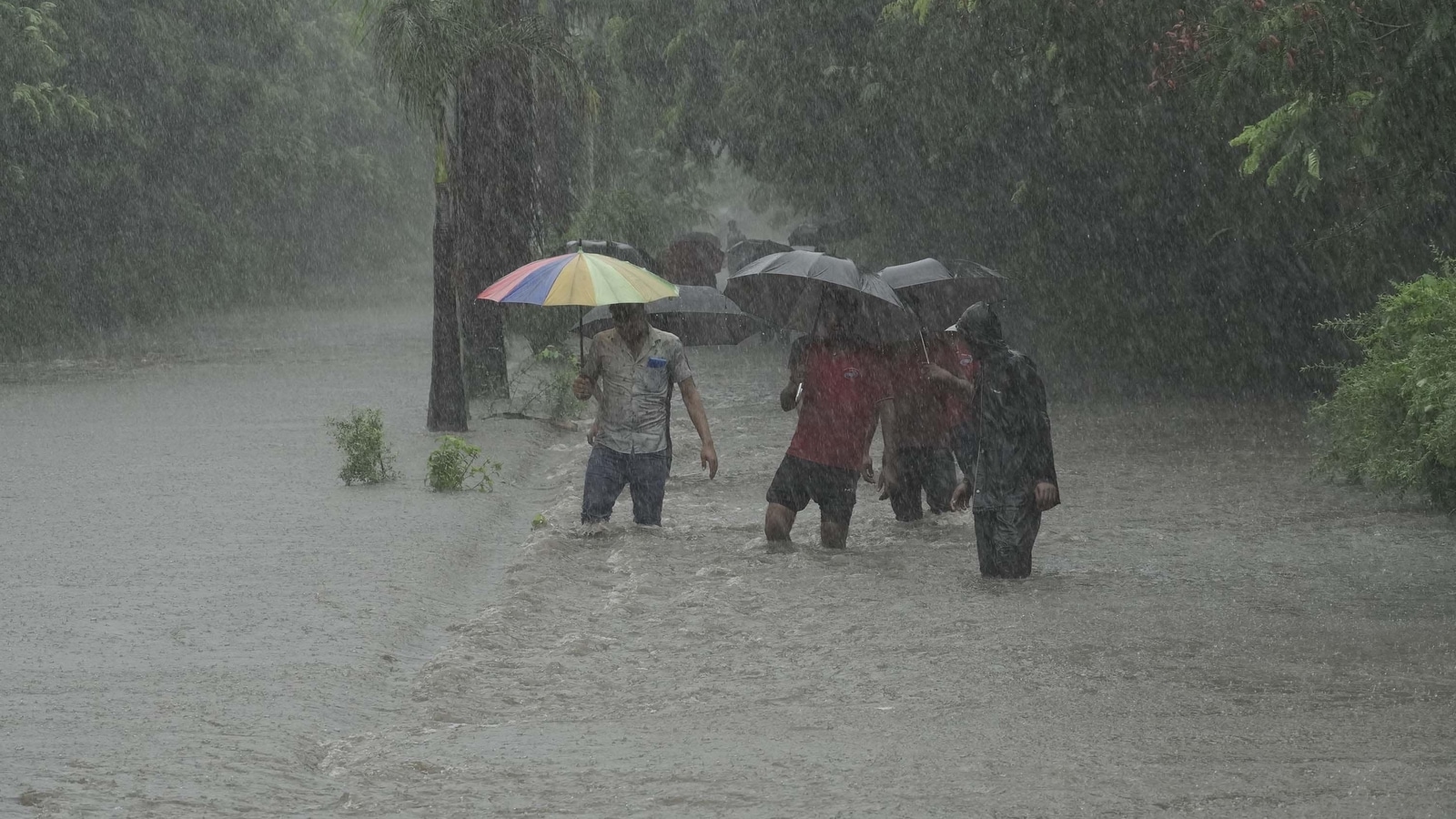 Mumbai rain: City waterlogged after overnight downpour, local train services disrupted; IMD predicts more showers | Latest News India