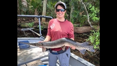 Unusual fish with crooked spine caught in Florida waters (FWC Fish and Wildlife Research Institute/Facebook) Unusual fish with crooked spine caught in Florida waters (FWC Fish and Wildlife Research Institute/Facebook)