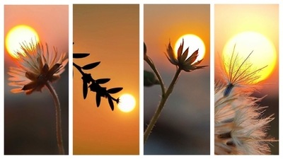 As his love for photography and awe for sunsets converged, he started to experiment, playing with sun’s light and shadows. He tried many different concepts like cricket with sunset, archery with sunset, shotput with sunset, solar lantern, and so on. Nature is his favourite subject, and natural elements like flowers, leaves, and butterflies, feature prominently in his shots. When he posted these on social media, they gained traction in no time. Noticing the potential sunset silhouette photography has, he worked on it, making it his niche. Aditya became more active and posted regularly 2022 onwards. As his love for photography and awe for sunsets converged, he started to experiment, playing with sun’s light and shadows. He tried many different concepts like cricket with sunset, archery with sunset, shotput with sunset, solar lantern, and so on. Nature is his favourite subject, and natural elements like flowers, leaves, and butterflies, feature prominently in his shots. When he posted these on social media, they gained traction in no time. Noticing the potential sunset silhouette photography has, he worked on it, making it his niche. Aditya became more active and posted regularly 2022 onwards. 