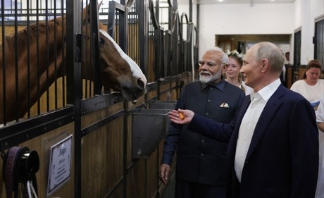 In this pool photograph distributed by the Russian state agency Sputnik, Russia's President Vladimir Putin and Indian Prime Minister Narendra Modi visit the stable during an informal meeting at the Novo-Ogaryovo state residence, outside Moscow, on July 8, 2024. (AFP) In this pool photograph distributed by the Russian state agency Sputnik, Russia's President Vladimir Putin and Indian Prime Minister Narendra Modi visit the stable during an informal meeting at the Novo-Ogaryovo state residence, outside Moscow, on July 8, 2024. (AFP)