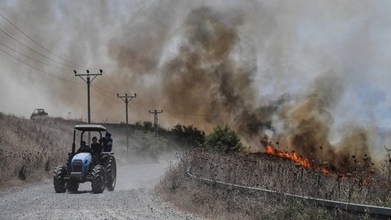 Fires blaze near a road, after Lebanon's Hezbollah said it launched more than 200 rockets and a swarm of drones at Israeli military sites, in the Israeli-occupied Golan Heights 