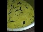 Hyderabad: Rat in the food served at a hostel mess at a university. (X/@IndianTechGuide) Hyderabad: Rat in the food served at a hostel mess at a university. (X/@IndianTechGuide)
