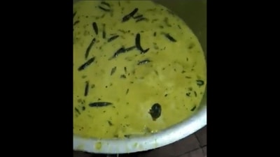 Hyderabad: Rat in the food served at a hostel mess at a university. (X/@IndianTechGuide) Hyderabad: Rat in the food served at a hostel mess at a university. (X/@IndianTechGuide)