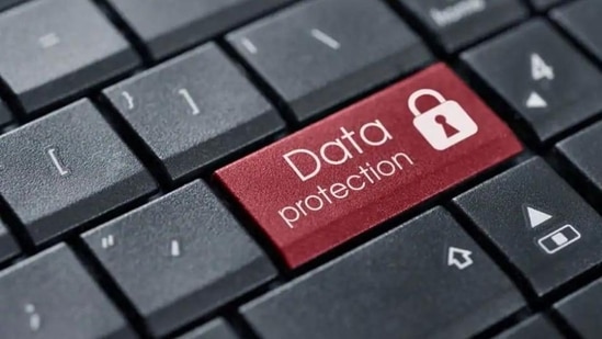 Data privacy(Representative image)