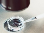 The government said it would form flying squads that would raid illegal laboratories. (Getty Images/iStockphoto) The government said it would form flying squads that would raid illegal laboratories. (Getty Images/iStockphoto)