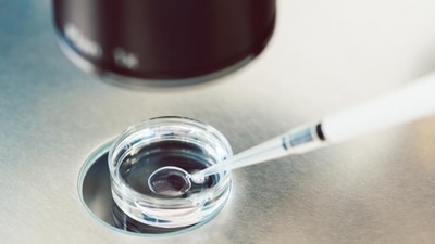 The government said it would form flying squads that would raid illegal laboratories. (Getty Images/iStockphoto) The government said it would form flying squads that would raid illegal laboratories. (Getty Images/iStockphoto)
